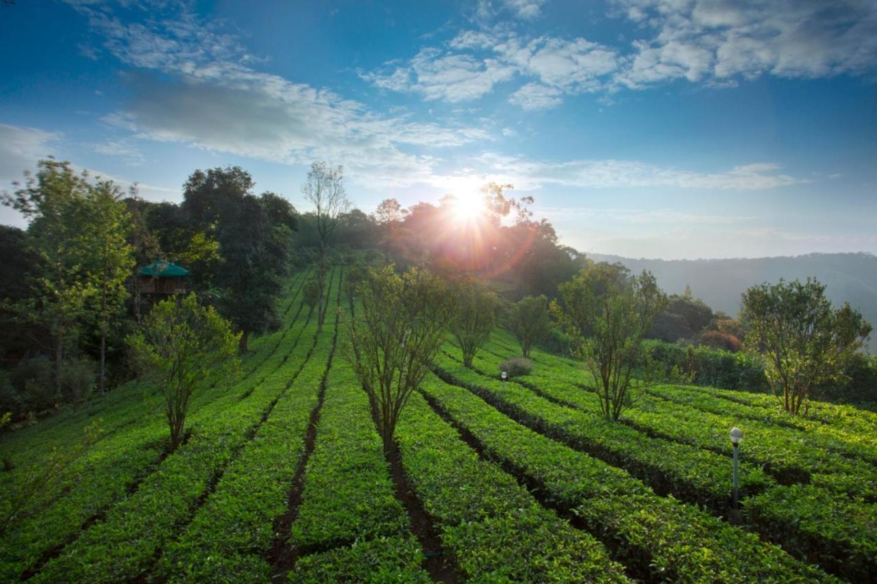 Sisiram River Side Munnar Kültér fotó