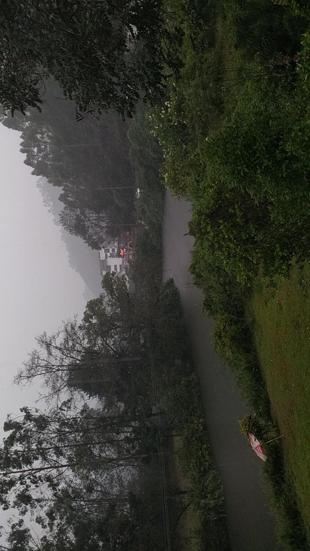 Sisiram River Side Munnar Kültér fotó